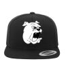 Flat Bill Snapback Cap Thumbnail