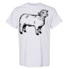 Standard Cotton T-Shirt Thumbnail